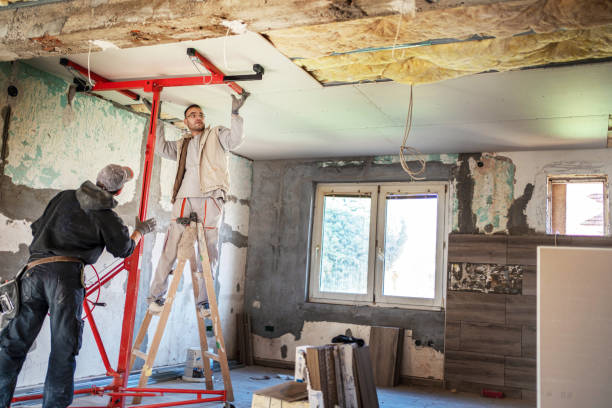 Types of Insulation We Offer in Fate, TX