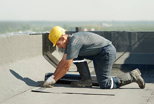 Best Cellulose Insulation in Fate, TX